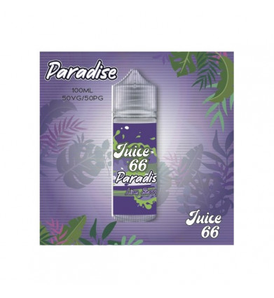 JUICE 66 - PARADISE - LIME BERRY